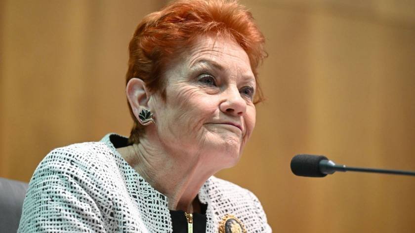 Hanson Slams Labor Over 'Poisonous Rhetoric' Amid One Nation Surge - Second Image