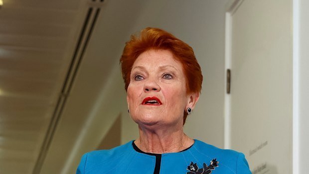 Hanson Slams Door on Media Amid Albanese Mum Fury - Second Image