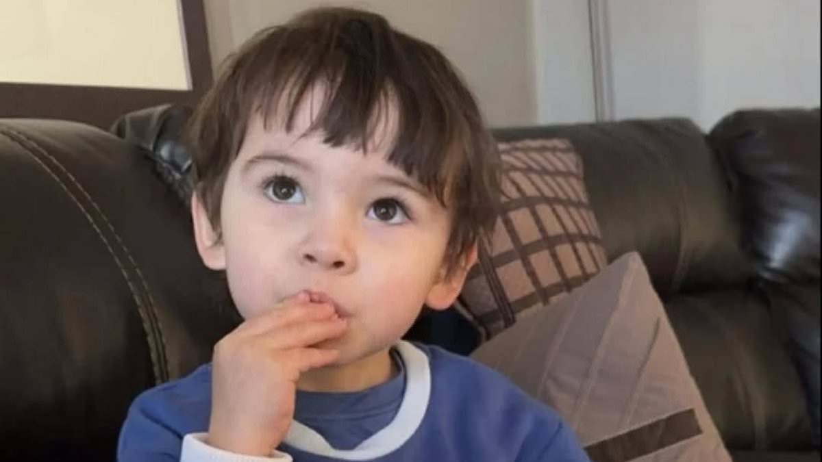 Toddler Killed In Michigan Car Accident Sparks Outrage - Second Image
