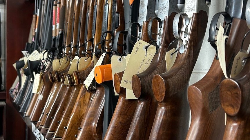 Liberals Spark Gun Law Chaos In New South Wales - Second Image