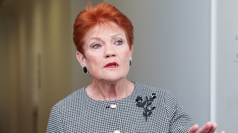 ONE Nation's Brutal Visa Cuts Spark Fears of Regional Collapse - Second Image