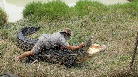  Crocodile Horror Port Moresby Worker Dies in Savage Attack - Second Image