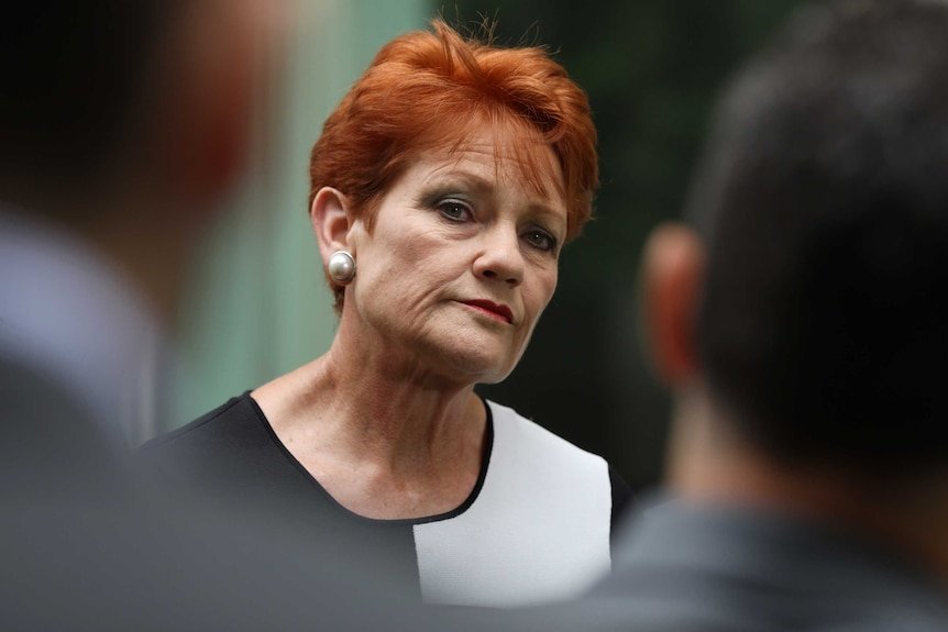  Pauline Hanson Unleashes Vile Attack on Indigenous Australians - Second Image