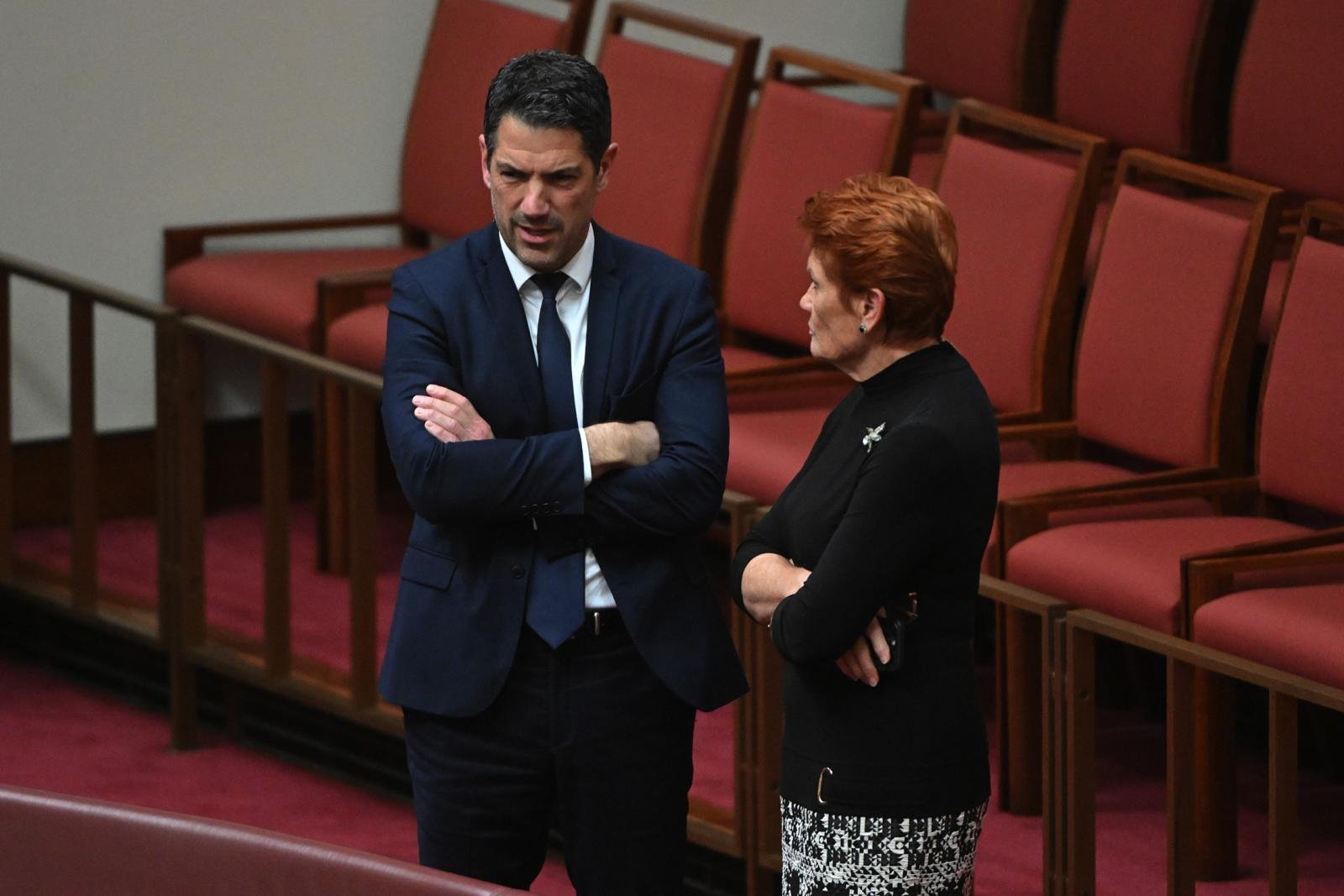 Senator Antic Sparks Fears Of One Nation Takeover In South Australia - Second Image