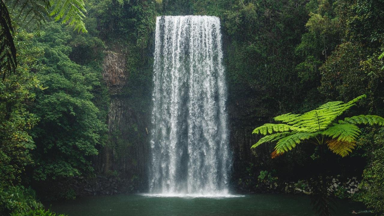 Tragedy Strikes At Millaa Millaa Falls In Fatal Freak Accident - Second Image