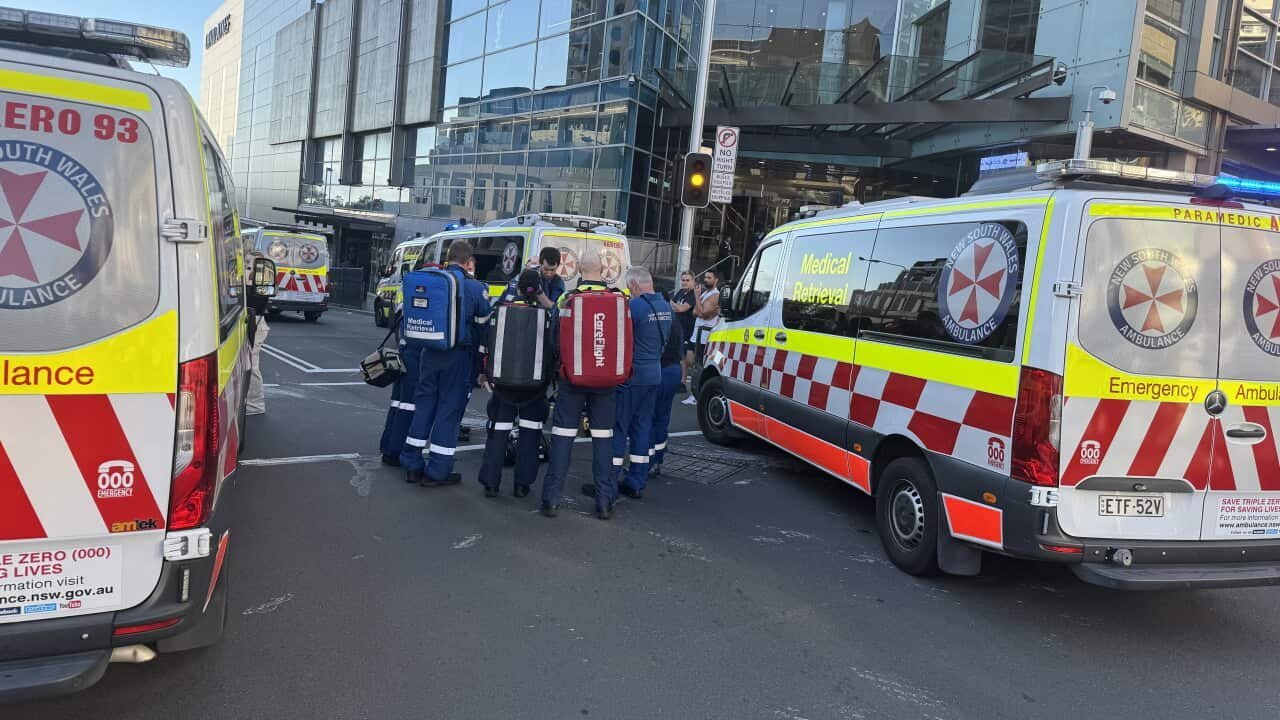 Sydney Worker Plummets 12 Floors In Horror Fall - Second Image